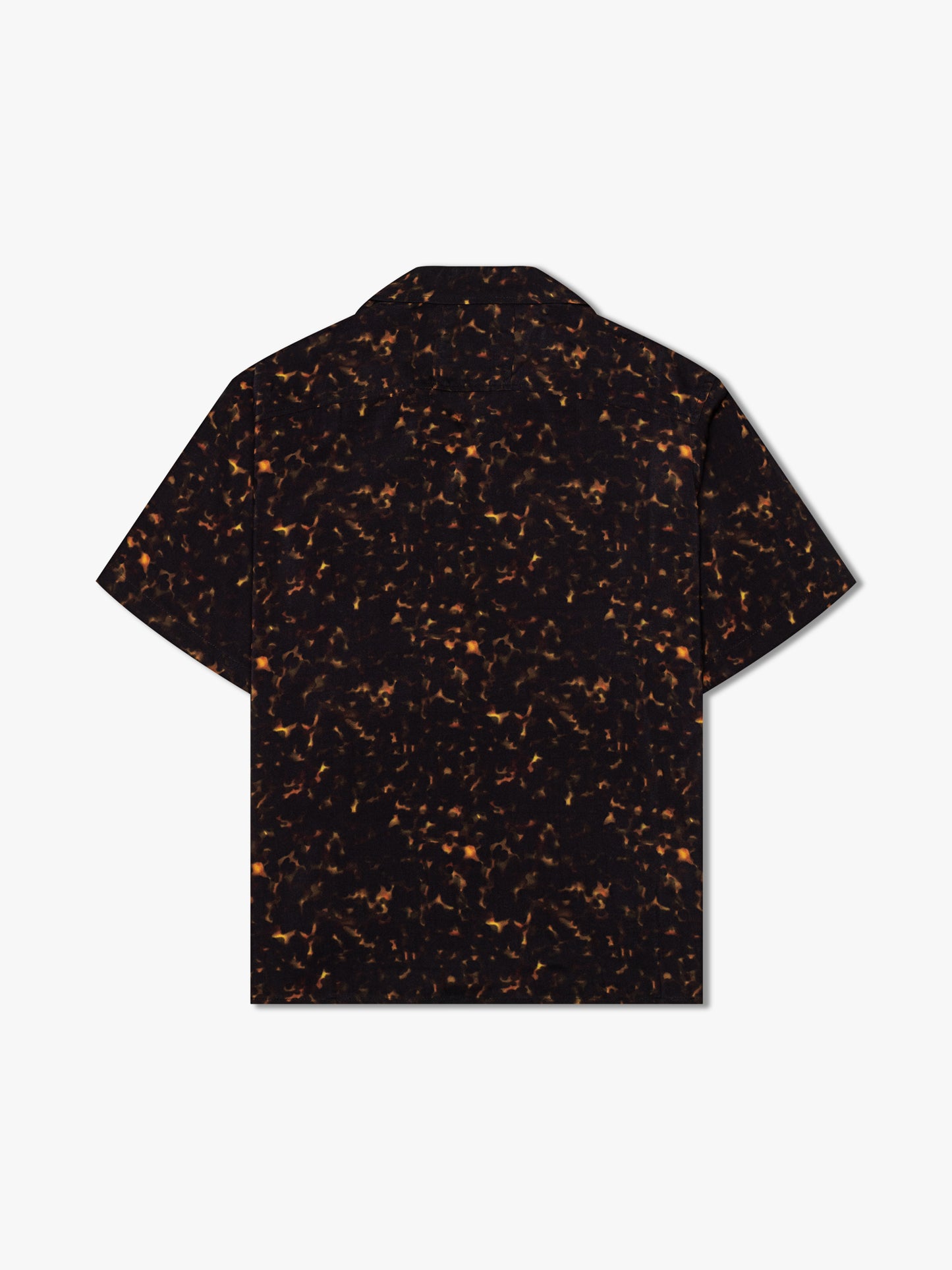 TORTOISE BUTTON DOWN