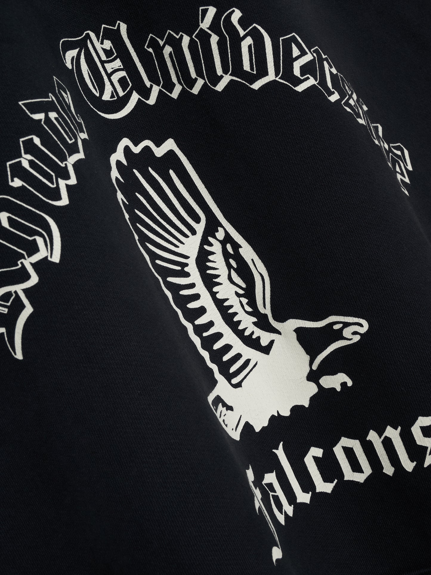 COLLEGIATE FALCONS HOODIE