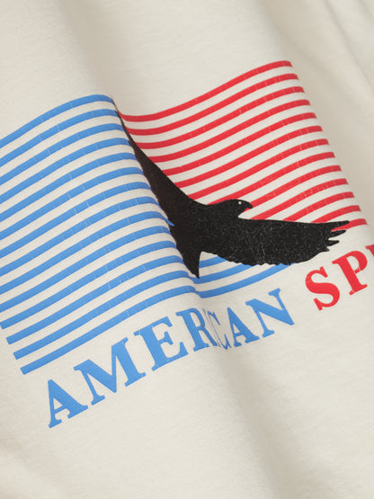 Angled close-up of the cracked eagle and blue and red striped “American Spirit” print on the vintage white tee