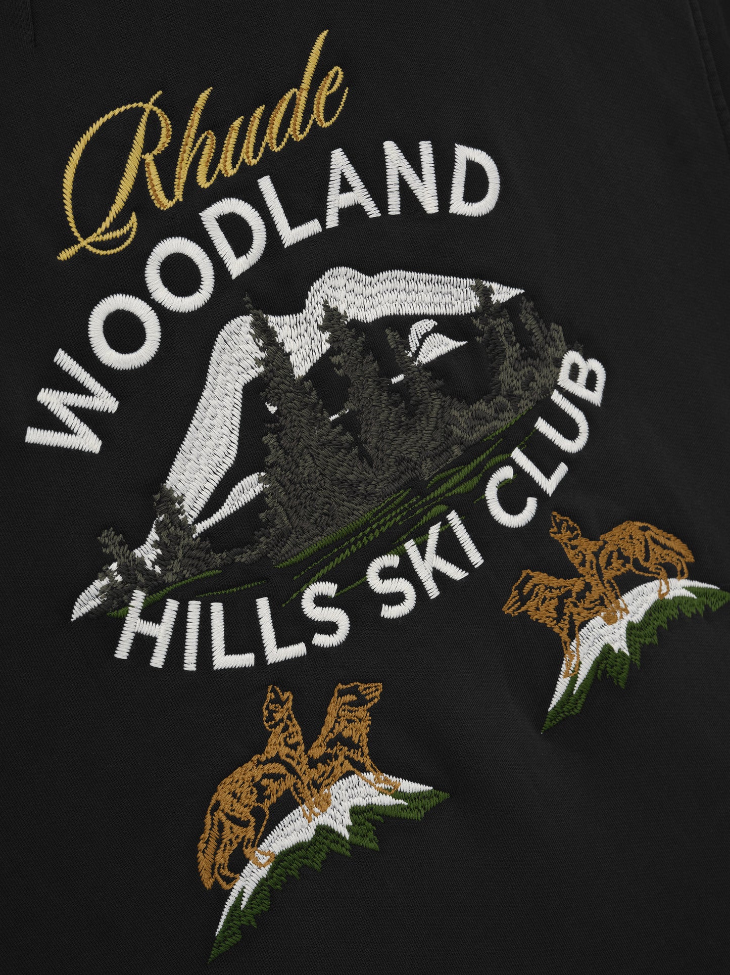 WOODLAND HILLS SKI HOODIE